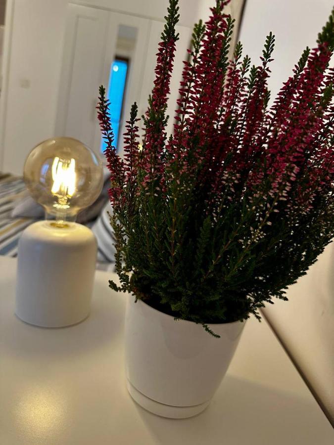 Apartament Centrum, Miejsce Parkingowe W Cenie Warszawa Eksteriør billede